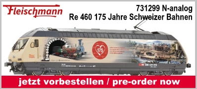 Fleischmann 731299 N analog E-Lok Re 460, 175 Jahre Schweizer Bahnen SBB