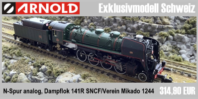 Arnold S2542 N analog Dampflok 141R SNCF/Verein Mikado 1244