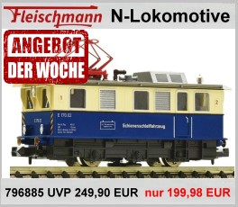 Fleischmann 796885 N digital E-Lok Schienenschleiflok